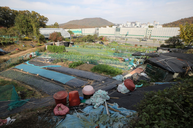 토지보상 부담에 주민 반발까지…'노른자 땅' 서리풀지구 개발 난항