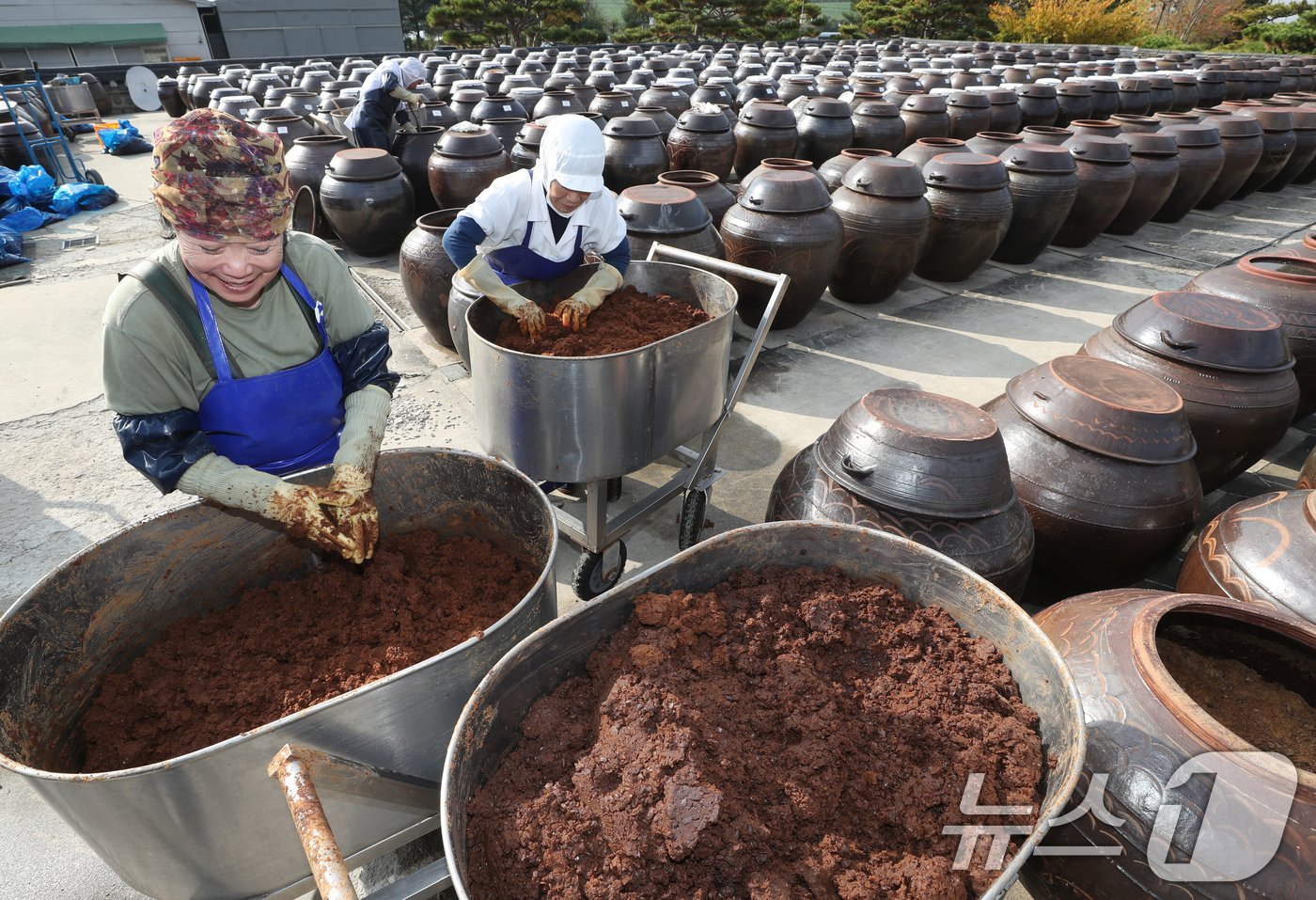본문 이미지 - . 사진은 이날 오후 경기 안성시 일죽면 서일농원에서 직원들이 장을 관리하고 있는 모습. 2024.11.5/뉴스1 ⓒ News1 김영운 기자
