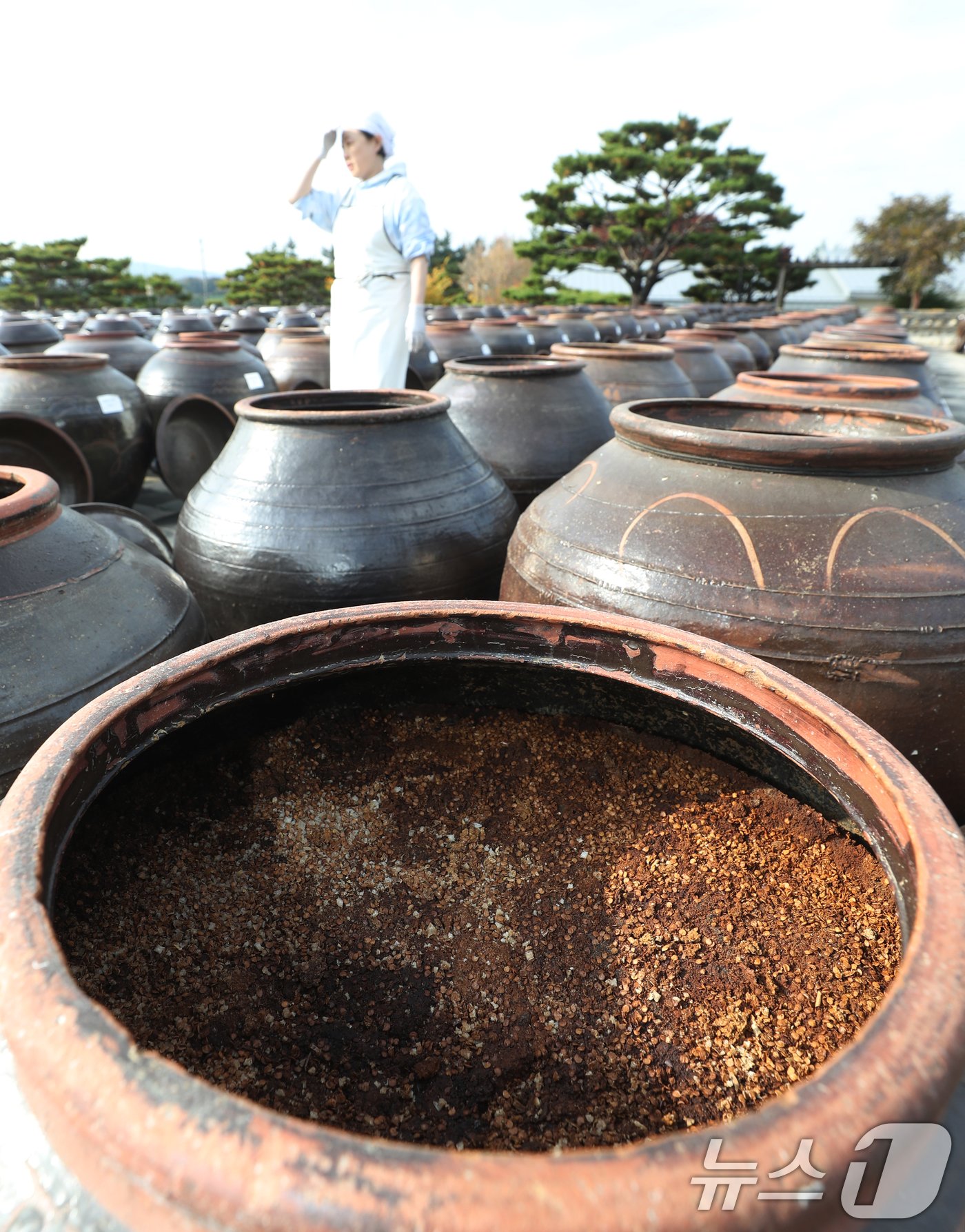 본문 이미지 - 사진은 이날 오후 경기 안성시 일죽면 서일농원에서 직원들이 장을 관리하고 있는 모습. 2024.11.5/뉴스1 ⓒ News1 김영운 기자