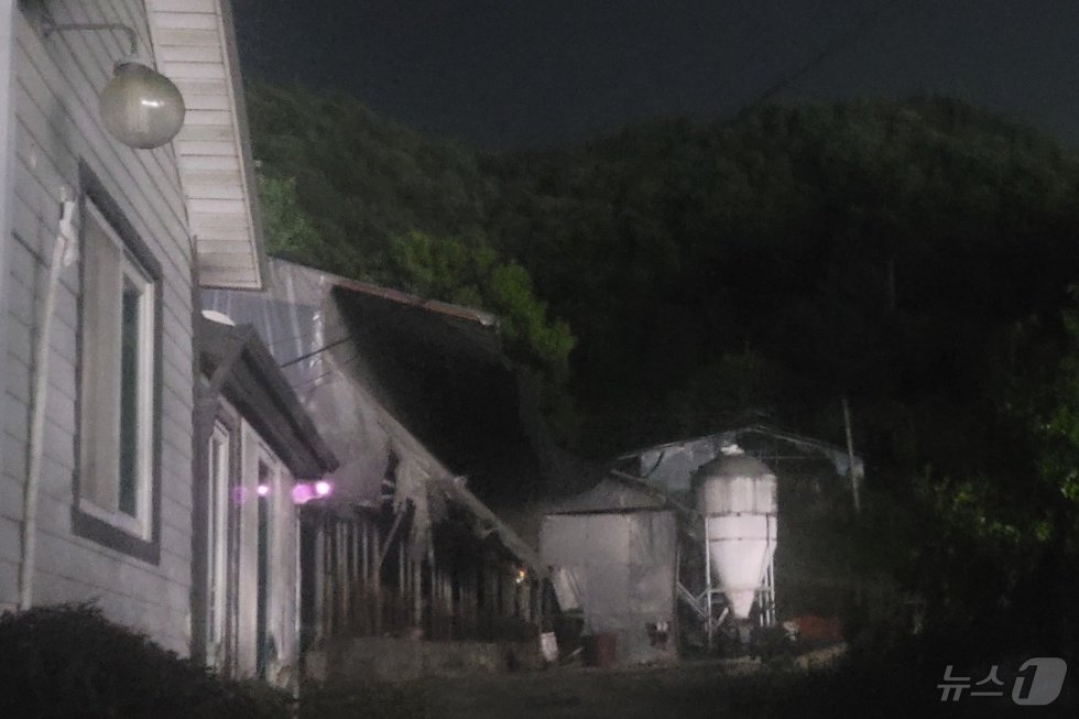 본문 이미지 -  골프장 인근 주민이 촬영한 축사에 반사되는 골프장 조명.(독자 제공)/뉴스1