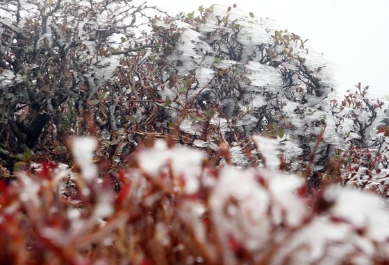 [오늘의 날씨]제주(27일, 수)…산지에 눈 최대 15㎝