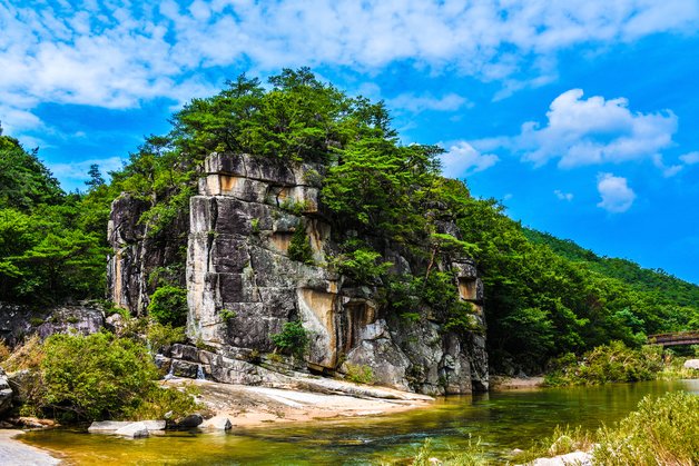 본문 이미지 - 괴산 화양계곡 학소대.(괴산군 제공)/뉴스1