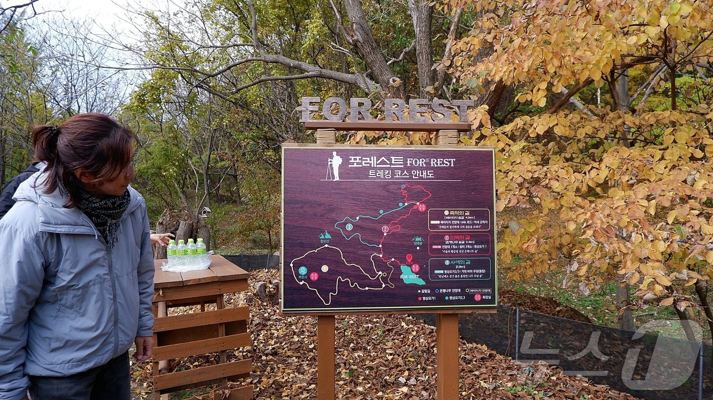 본문 이미지 -  비밀의 은행나무숲을 설명하는 이준규 에버랜드 식물콘텐츠 그룹장ⓒ News1 윤슬빈 기자