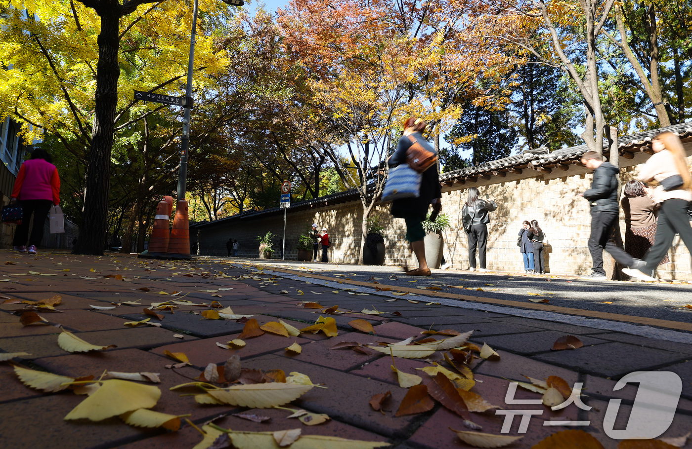 (서울=뉴스1) 이동해 기자 = '겨울이 시작된다'는 절기상 입동(立冬)을 하루 앞둔 6일 서울 중구 덕수궁 돌담길에서 시민들이 떨어진 낙엽을 밟으며 이동하고 있다. 2024.11 …