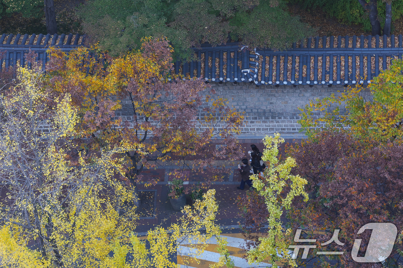 (서울=뉴스1) 이동해 기자 = '겨울이 시작된다'는 절기상 입동(立冬)을 하루 앞둔 6일 서울 중구 덕수궁 돌담길에서 시민들이 떨어진 낙엽을 밟으며 이동하고 있다. 2024.11 …