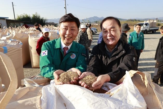 보성군 공공비축미 14만9199포대 매입…오는 11일부터