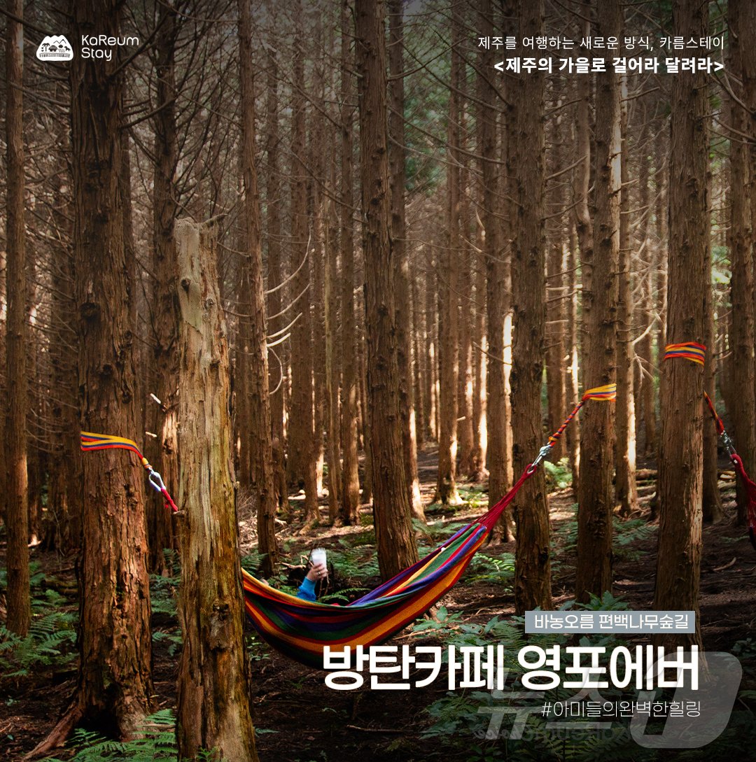 본문 이미지 -  제주관광공사 제공. 