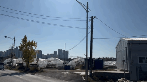 본문 이미지 - 대곡역 일대 개발제한구역의 전경.2024.11.06/뉴스1