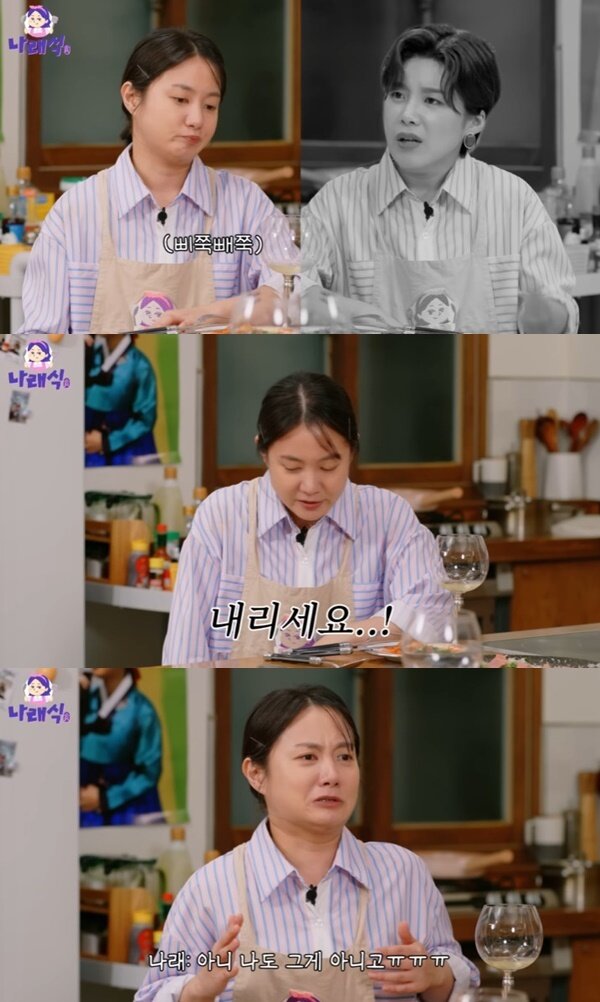 본문 이미지 - 유튜브 채널 '나래식' 캡처