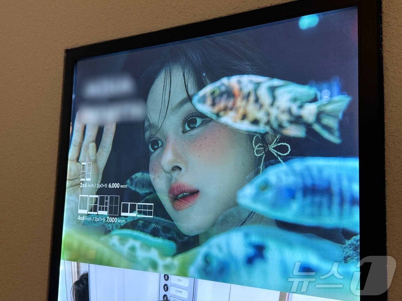 본문 이미지 - 서울 성동구 성수동의 한 &#39;물고기 네컷사진&#39; 업체에 붙은 샘플 사진. ⓒ 뉴스1 홍유진 기자
