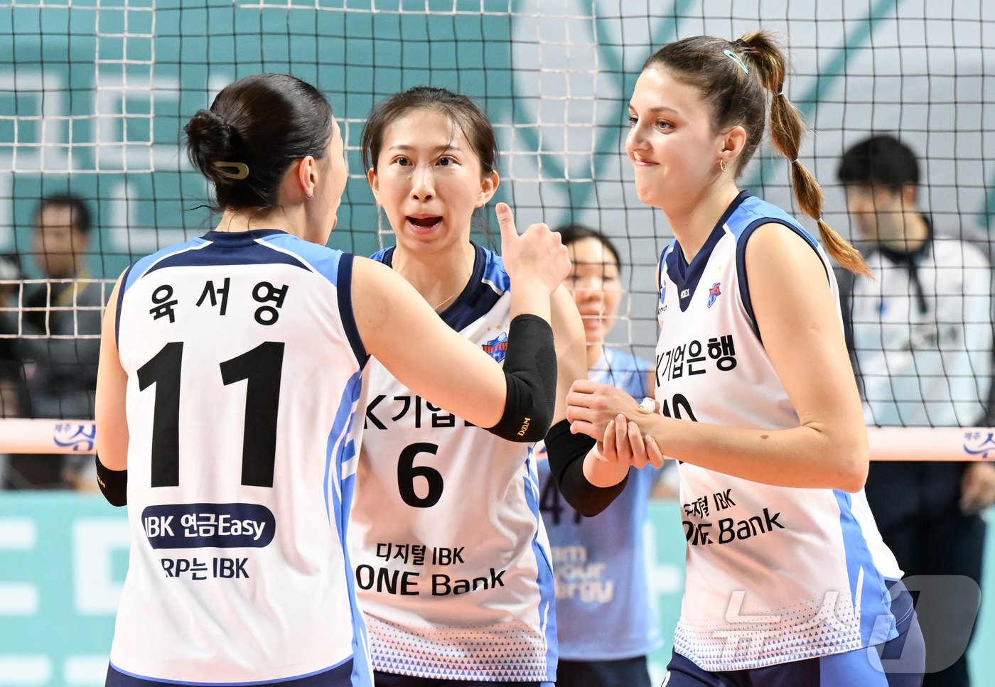 본문 이미지 - 여자 프로배구 IBK기업은행. (KOVO 제공)