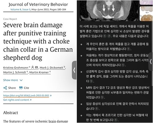 목줄을 이용한 처벌적 훈련 기법으로 뇌손상을 입은 개&#40;강아지&#41;의 사례&#40;설채현 제공&#41; ⓒ 뉴스1