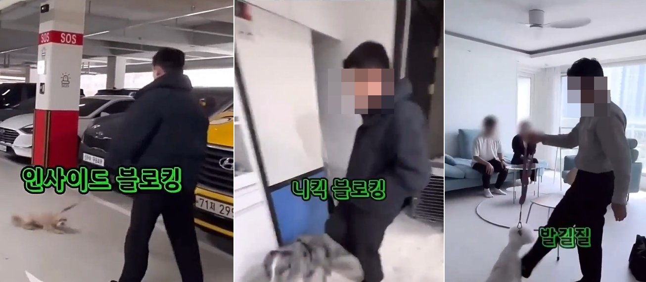 본문 이미지 - 강아지를 발로 차 훈련하는 장면(댕쪽이상담소 유튜브 갈무리)ⓒ 뉴스1