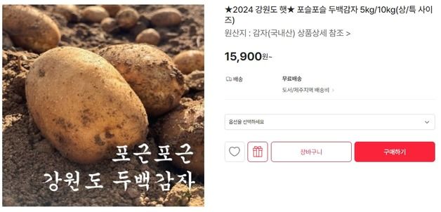 "인제산 두백 감자, 공영홈쇼핑 라이브커머스로 만나보세요"