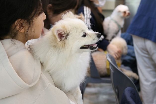 경남 함양 산삼자연휴양림서 9일 '숲속 멍스토랑' 개최