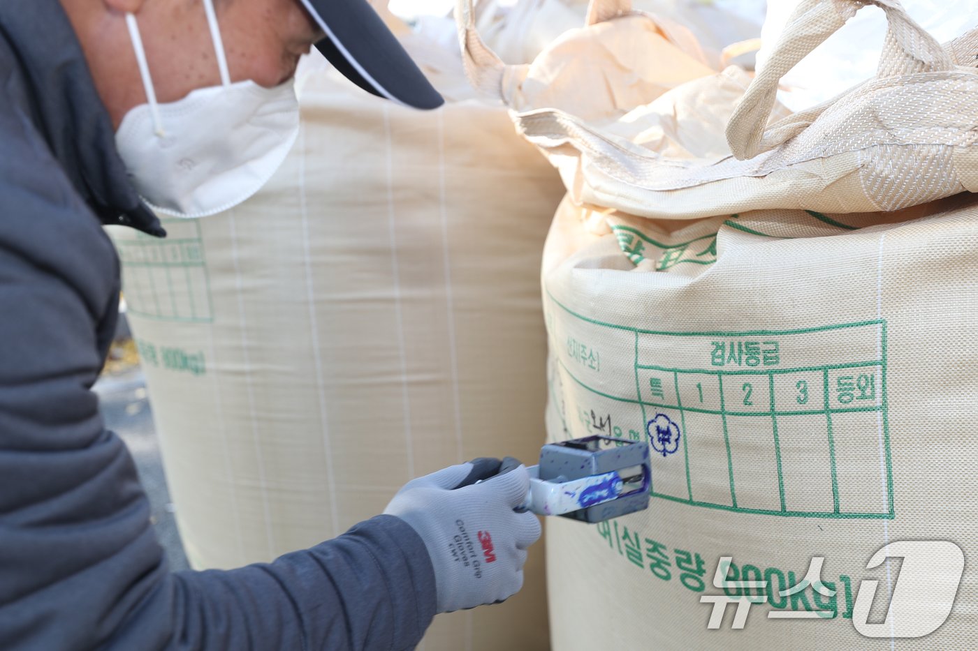 본문 이미지 - 공공비축미 수매./뉴스1 ⓒ News1