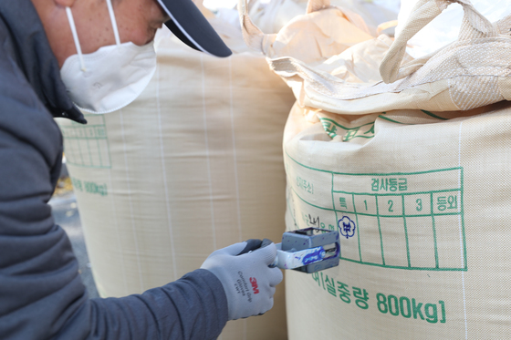 옥천군 2027년산 공공비축미곡 매입 품종 '삼광·알찬미' 선정