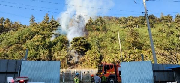 예산 주교리 야산서 산불…산림당국 진화 중