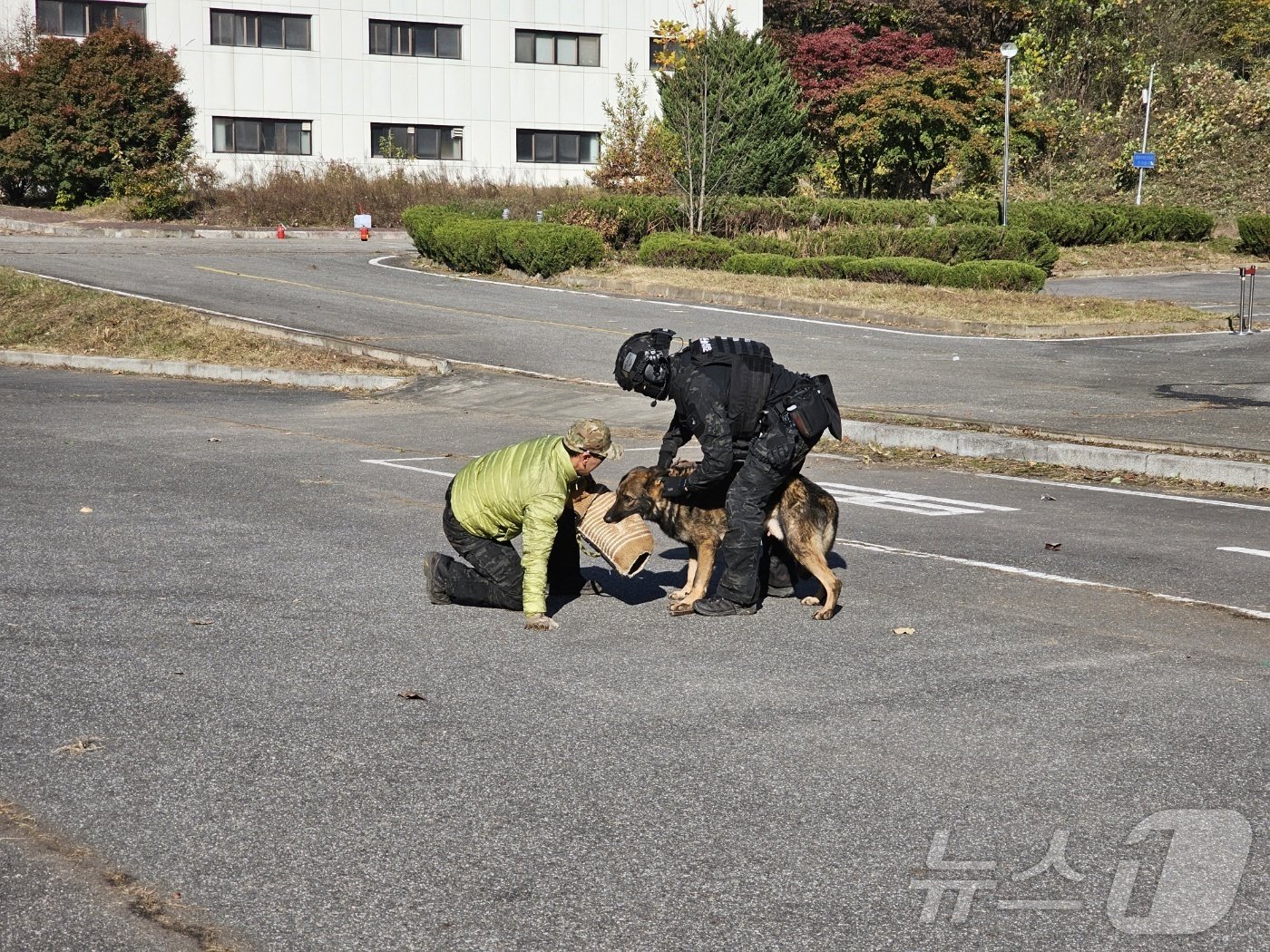 경기남부경찰청이 7일 경기 용인시 언남동 경찰대학&#40;구&#41;에서 &#39;2024 하반기 대테러 관계기관 합동훈련&#39;을 진행하고 있다.ⓒ News1 유재규 기자