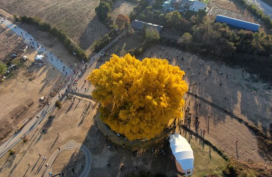 전국 맑음·남부 구름…제주 먼바다 '풍랑특보' [퇴근길날씨]