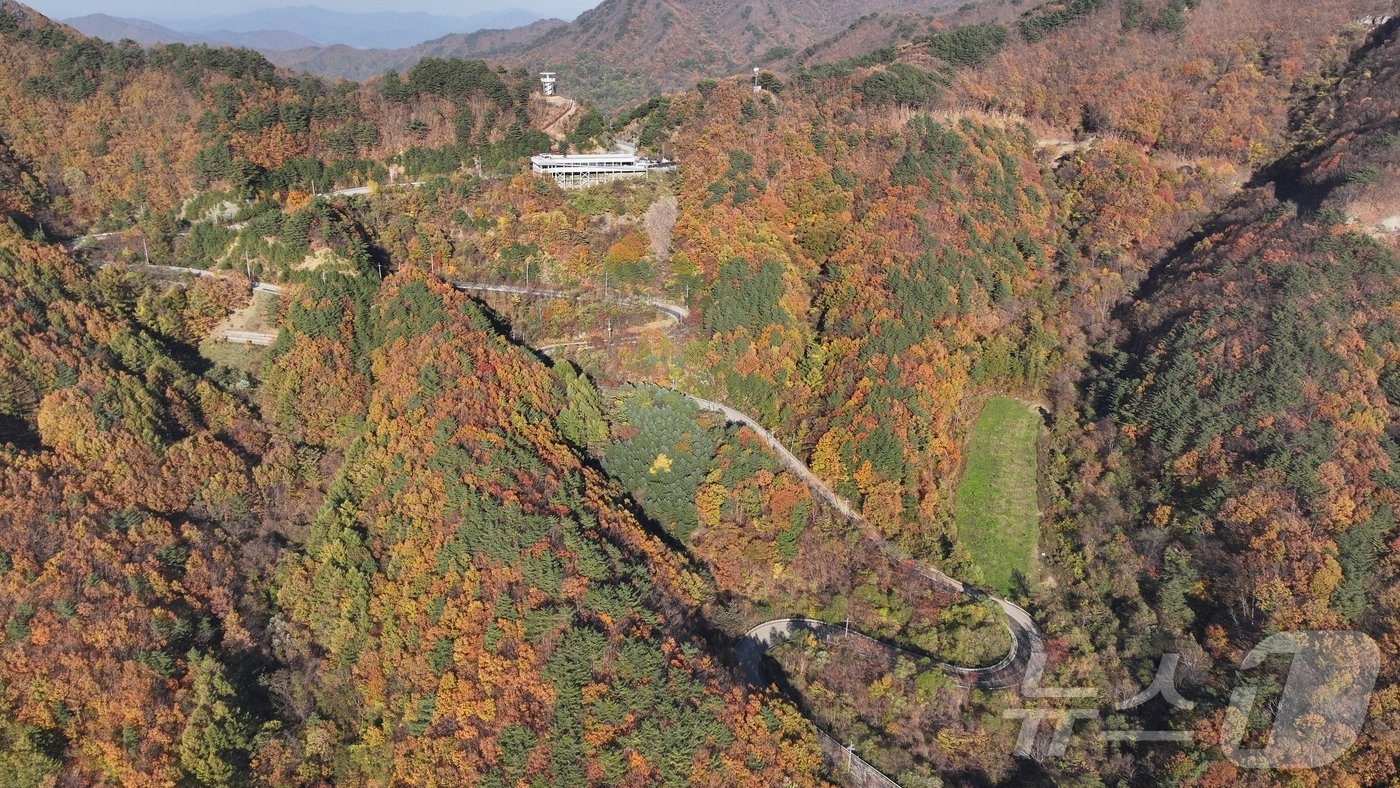 충북 영동군 도마령&#40;刀馬岺, 해발 840m&#41;이 울긋불긋 물든 단풍과 어우러져 늦가을 풍광을 뽐내고 있다. &#40;영동군 제공&#41; /뉴스1