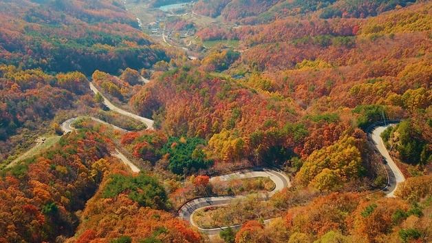 [풍경]'만추'…영동 도마령 24굽이 고갯길 울긋불긋