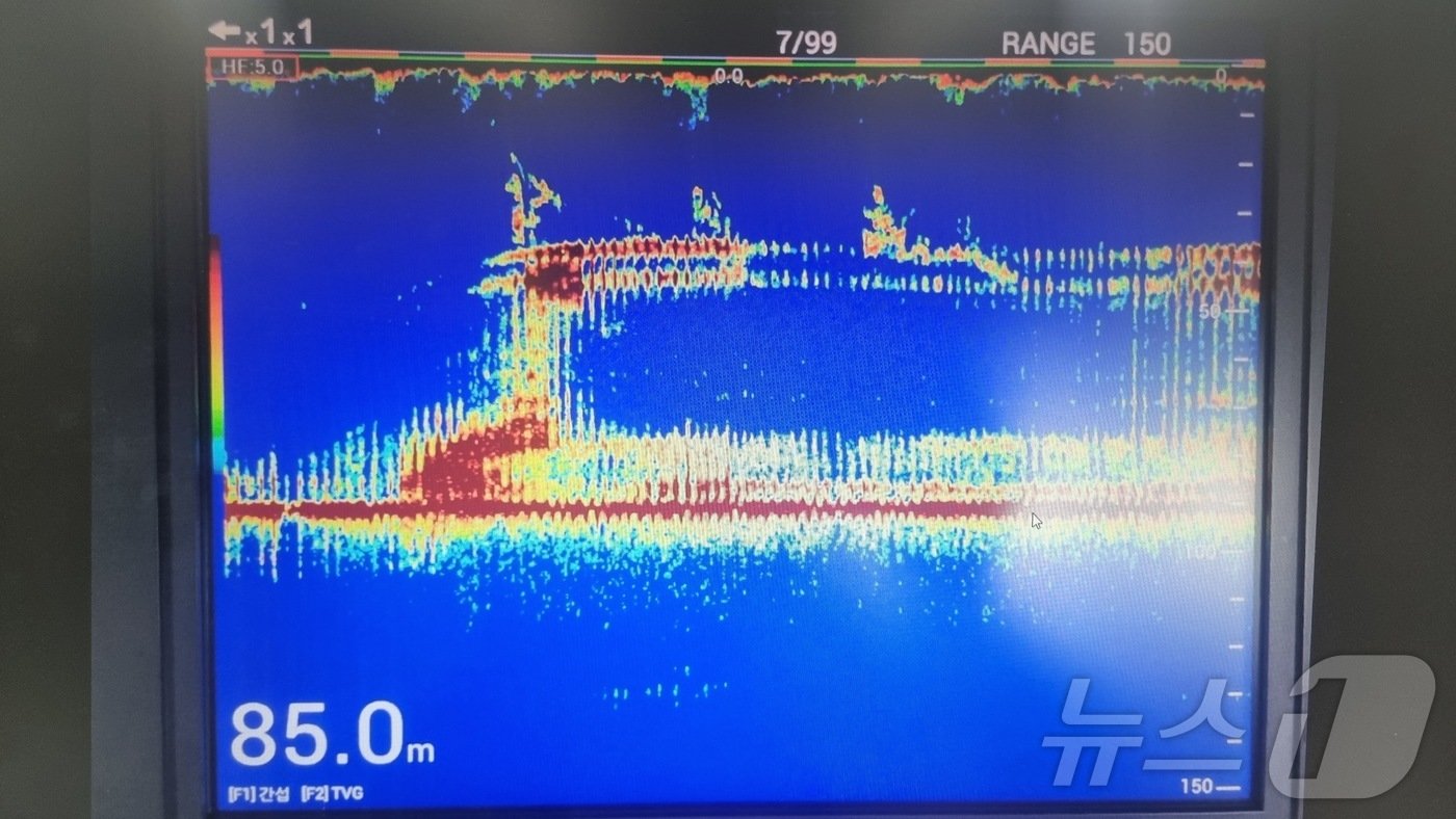 본문 이미지 - 8일 선단선에서 어군탐지기로 촬영한 '135금성호'. 이 선박은 새벽 4시33분쯤 제주 비양도 북서쪽 24㎞ 해상에서 침몰했다. 승선원 27명 중 12명이 실종돼 해경과 해군 등이 수색 작업을 벌이고 있다.(제주해양경찰청 제공) 2024.11.8/뉴스1 ⓒ News1 홍수영 기자
