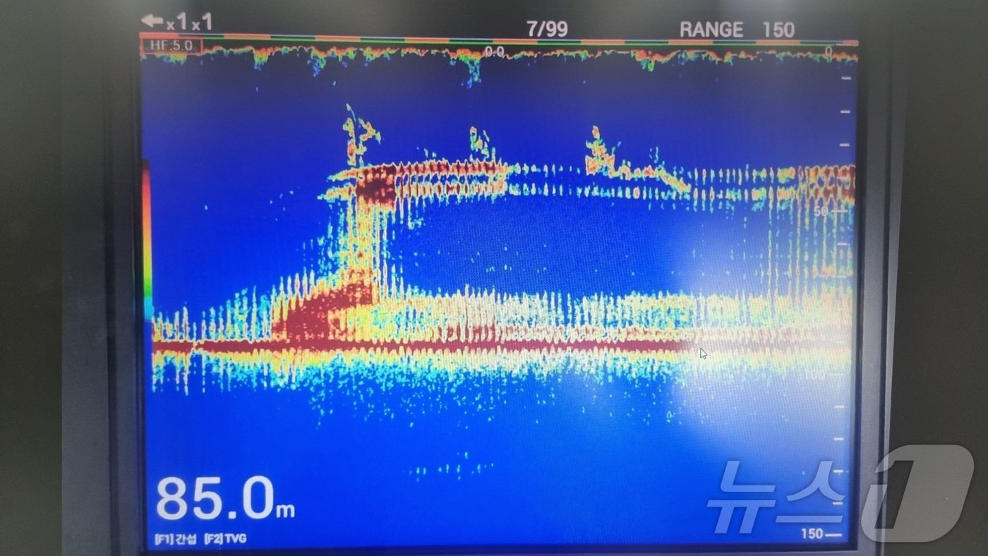 8일 선단선에서 어군탐지기로 촬영한 &#39;135금성호&#39;. 이 선박은 새벽 4시33분쯤 제주 비양도 북서쪽 24㎞ 해상에서 침몰했다. 승선원 27명 중 12명이 실종돼 해경과 해군 등이 수색 작업을 벌이고 있다.&#40;제주해양경찰청 제공&#41; 2024.11.8/뉴스1 ⓒ News1 홍수영 기자