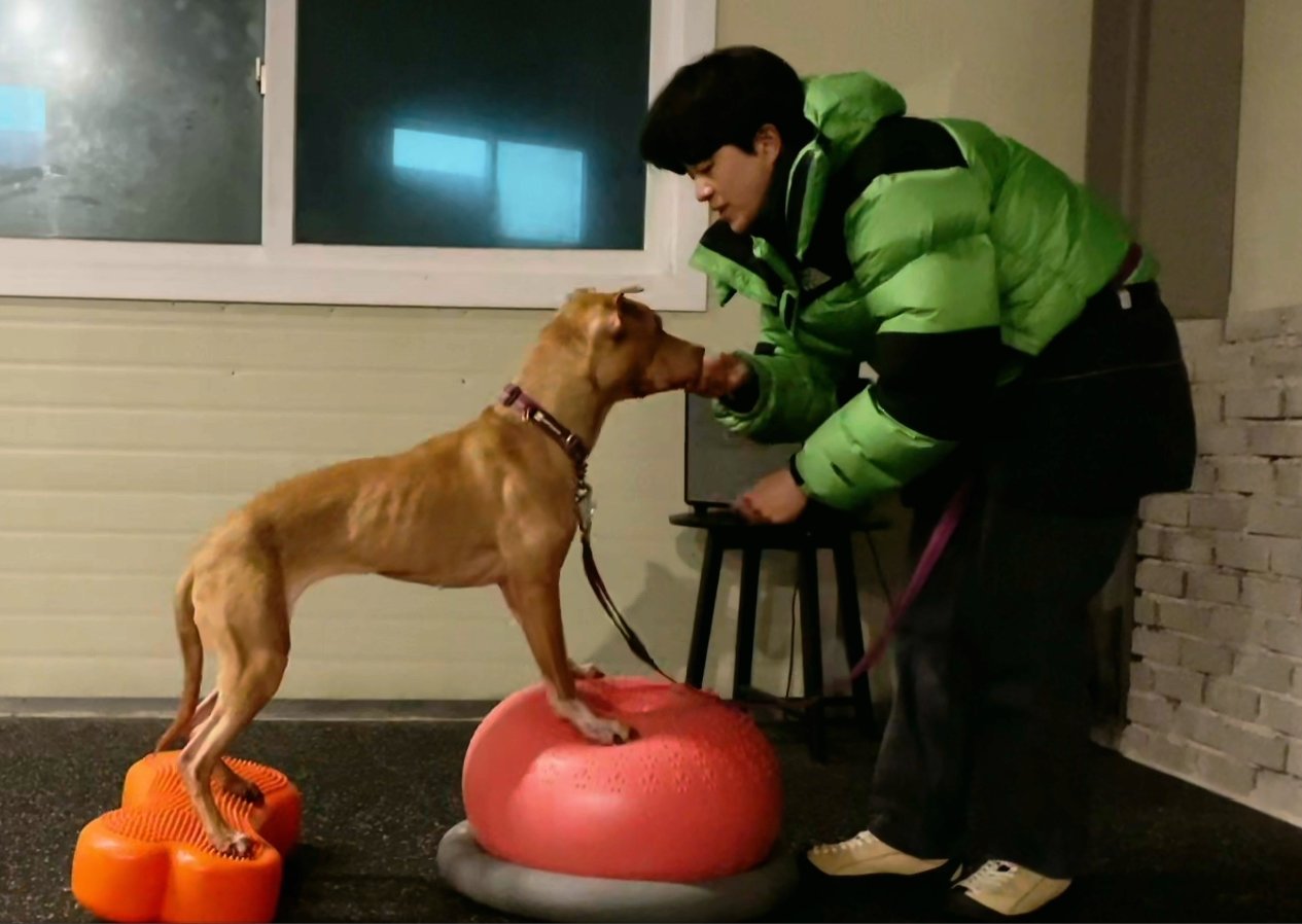 본문 이미지 - 리듬이를 키우며 인생이 바뀐 강슬기 씨. 반려견 피트니스 교육 전문가로 활동하고 있다. (강슬기 씨 제공) ⓒ 뉴스1