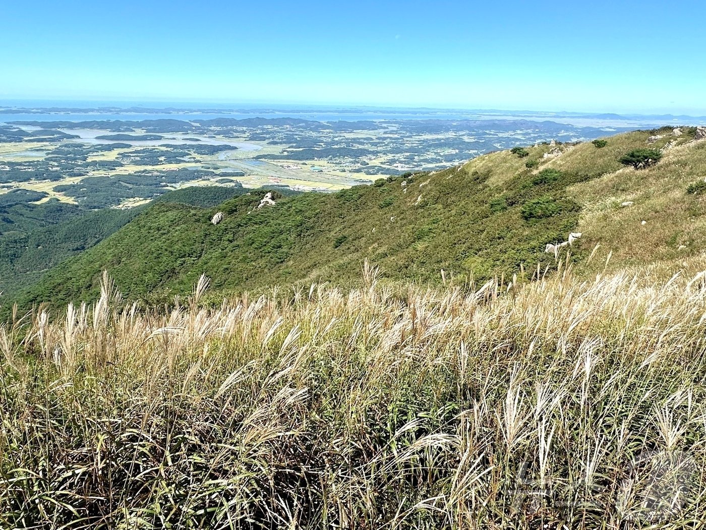 본문 이미지 - 오서산 억새.&#40;홍성군청 송재철 씨 제공&#41;
