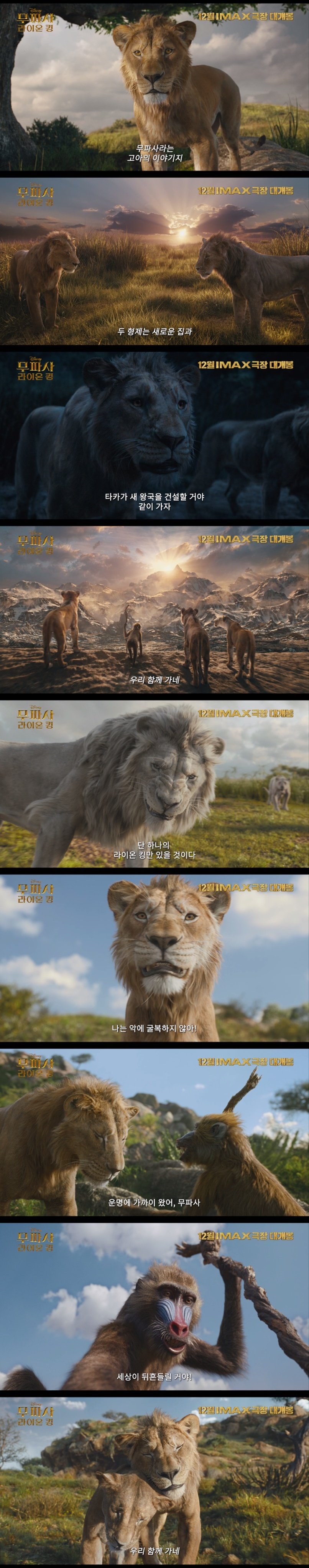 본문 이미지 - '무파사: 라이온 킹' 예고편