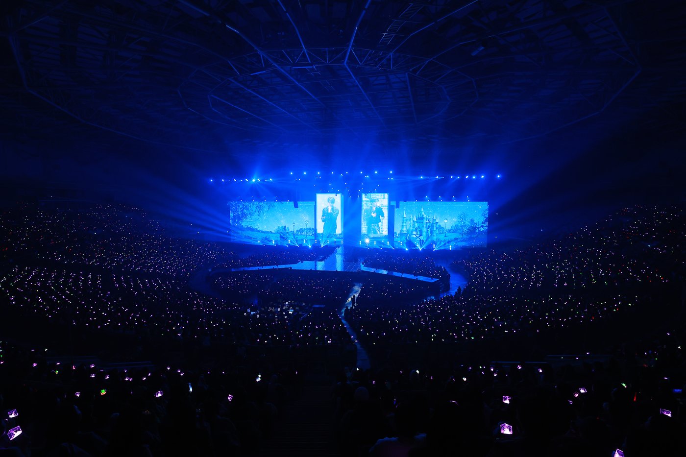 본문 이미지 - 사진=팜트리아일랜드,iNKODE