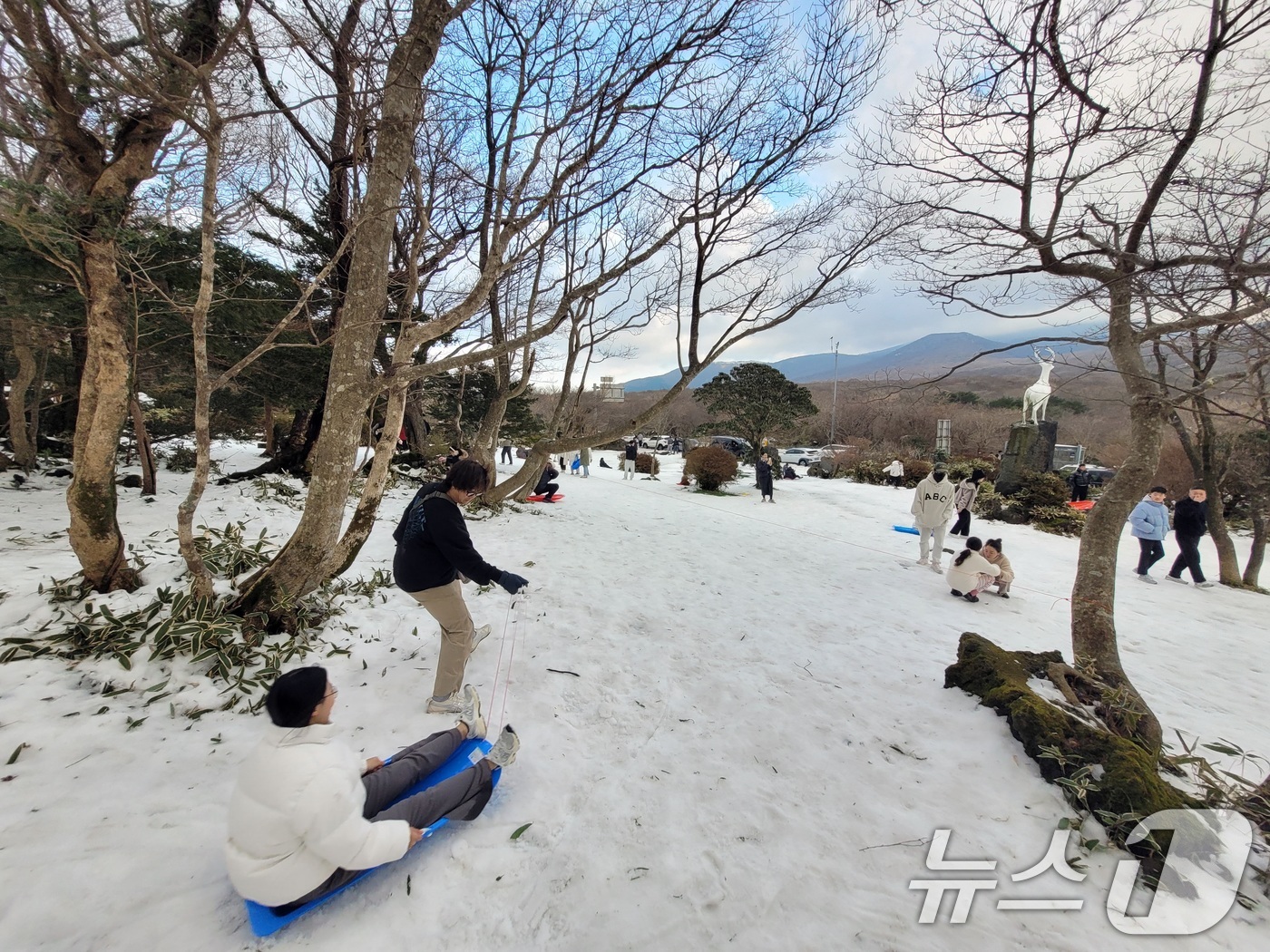 (제주=뉴스1) 고동명 기자 = 1일 오후 한라산국립공원 1100고 휴게소 인근에서 관광객들이 겨울 정취를 만끽하고 있다.2024.12.1/뉴스1