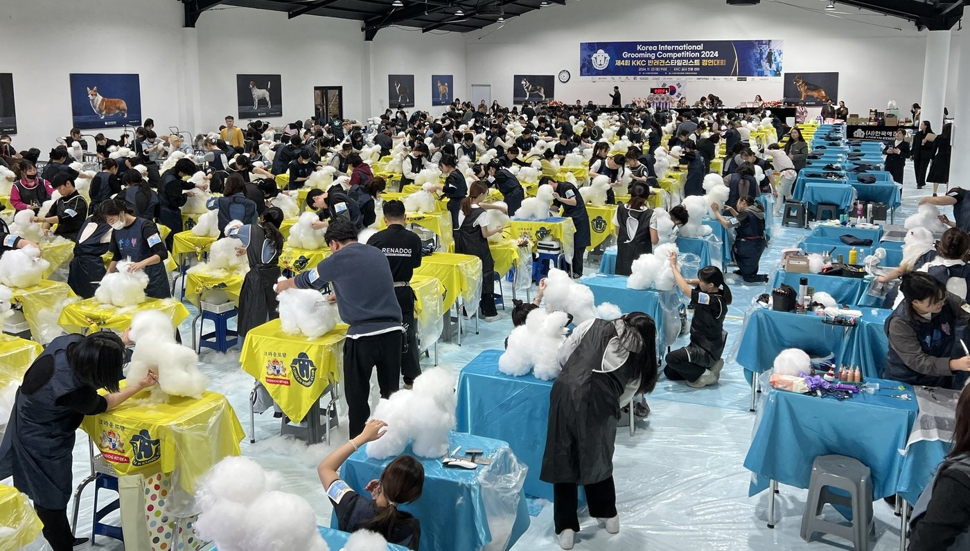 본문 이미지 - 지난달 23일 서울 광진구 한국애견협회센터에서 열린 &#39;2024 반려견스타일리스트 국제경연대회&#39;가 성공적으로 마무리됐다. &#40;한국애견협회 제공&#41; ⓒ 뉴스1