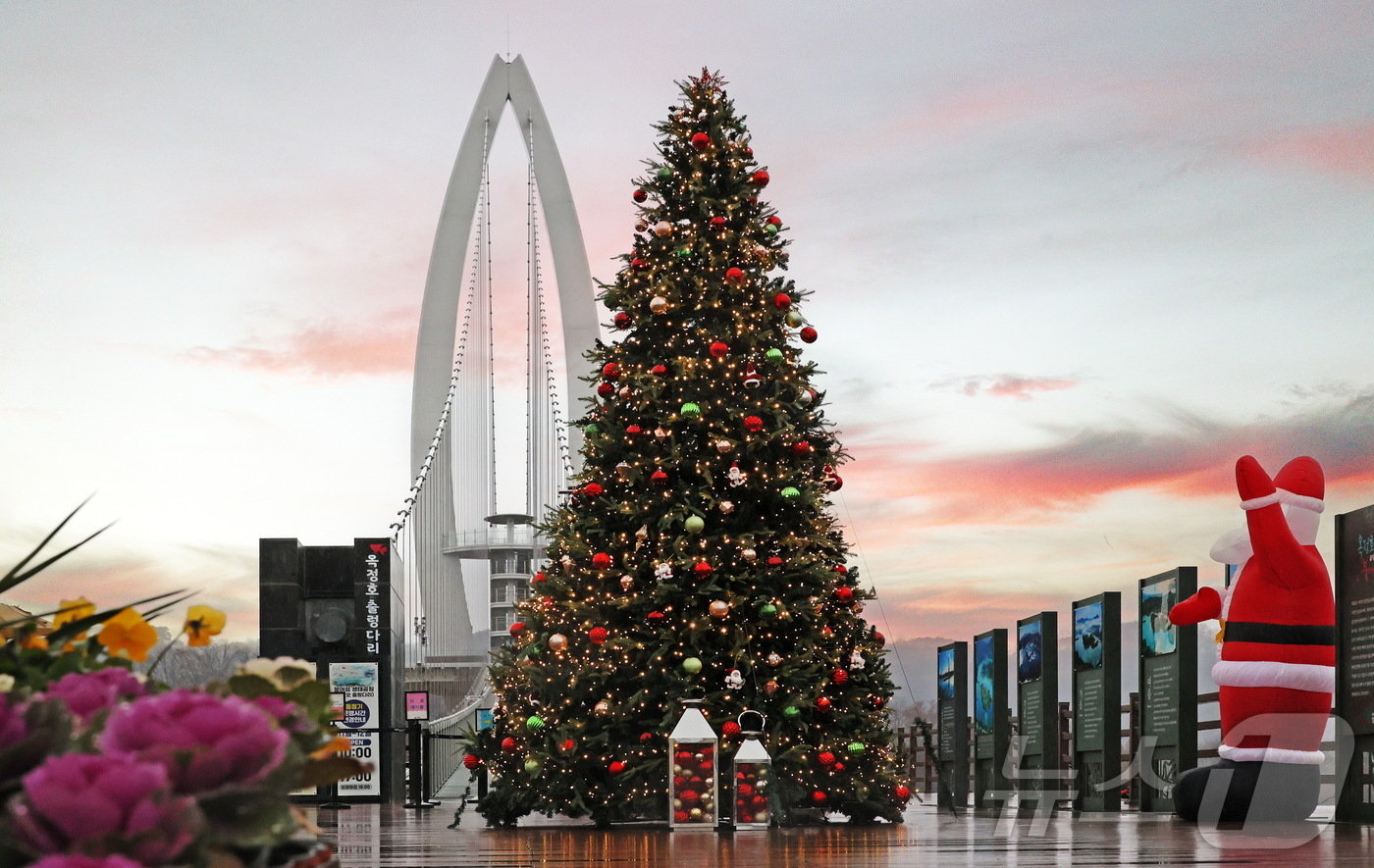 본문 이미지 - 전북자치도 임실군이 옥정호 출렁다리에 크리스마스트리를 만들었다.(임실군제공)2024.12.10/뉴스1