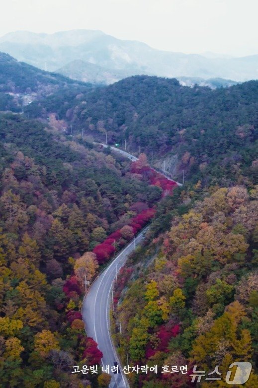 전북자치도 순창군이 기획한 &#39;순창 관광지 영상·사진 공모전&#39;에서 영상분야 대상을 차지한 ‘자전거로 떠나는 순창여행’ 영상 캡처.&#40;순창군 제공&#41;/뉴스1