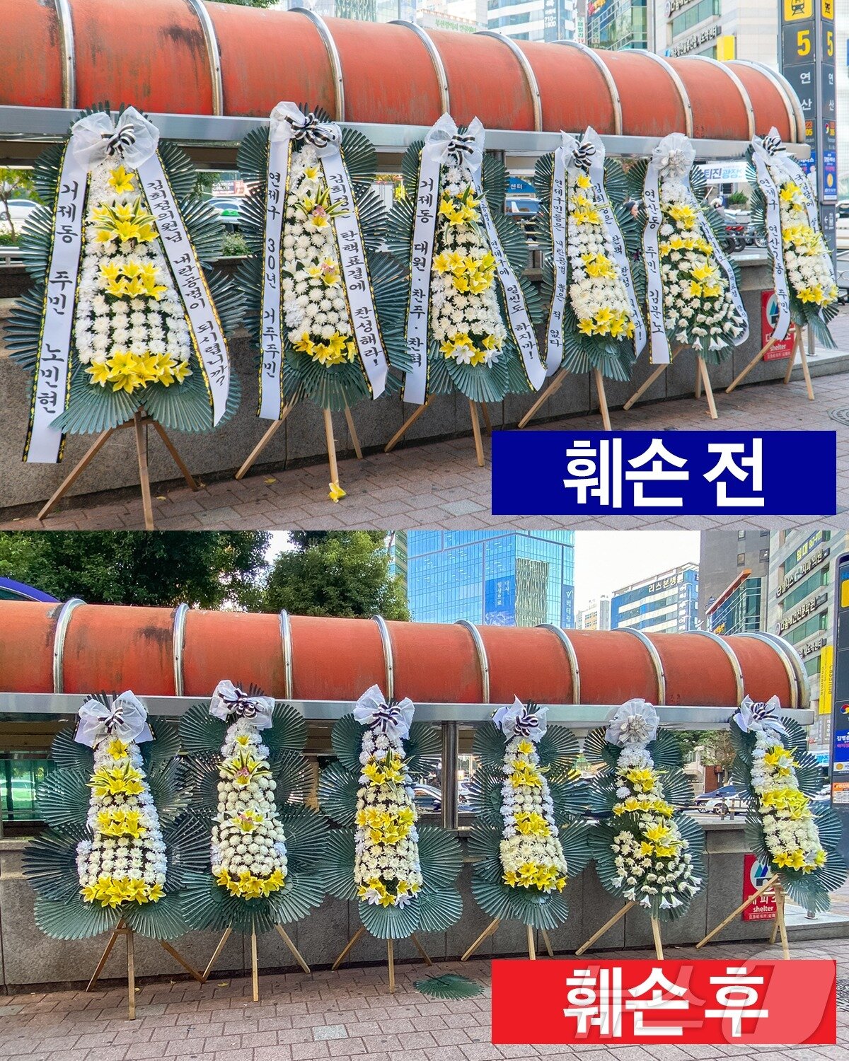본문 이미지 - 김희정 의원&#40;국민의힘, 부산 연제구&#41; 사무실 앞에 배달된 근조화환들이 서 있다.&#40;진보당 부산시당 제공&#41;