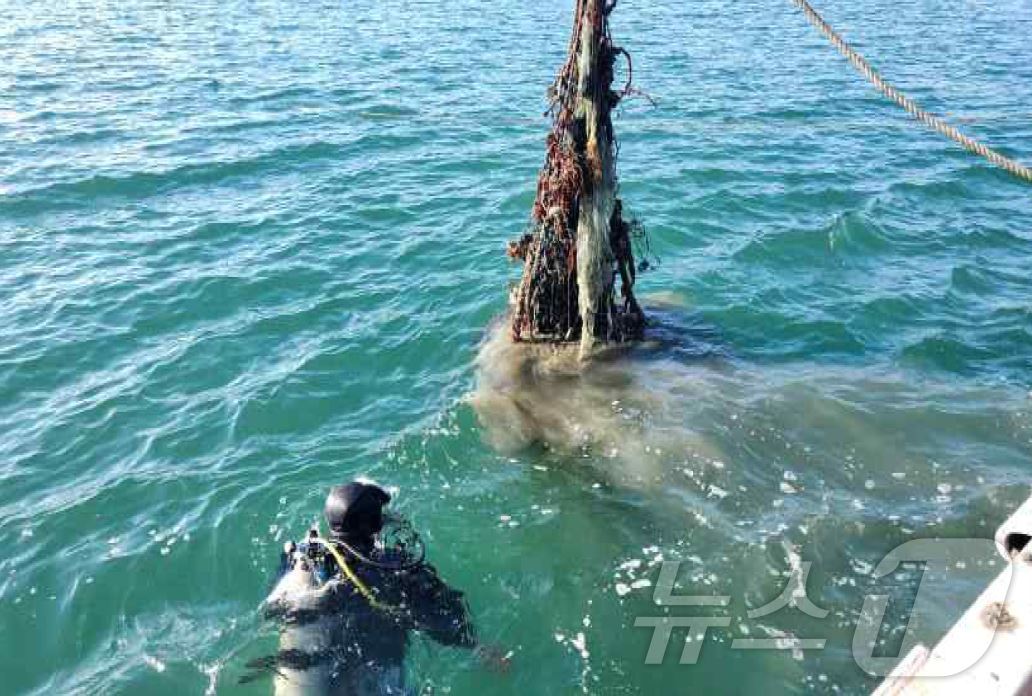 본문 이미지 - 잠수사가 바닷속 폐어구를 수거하고 있다(해양수산부 제공)