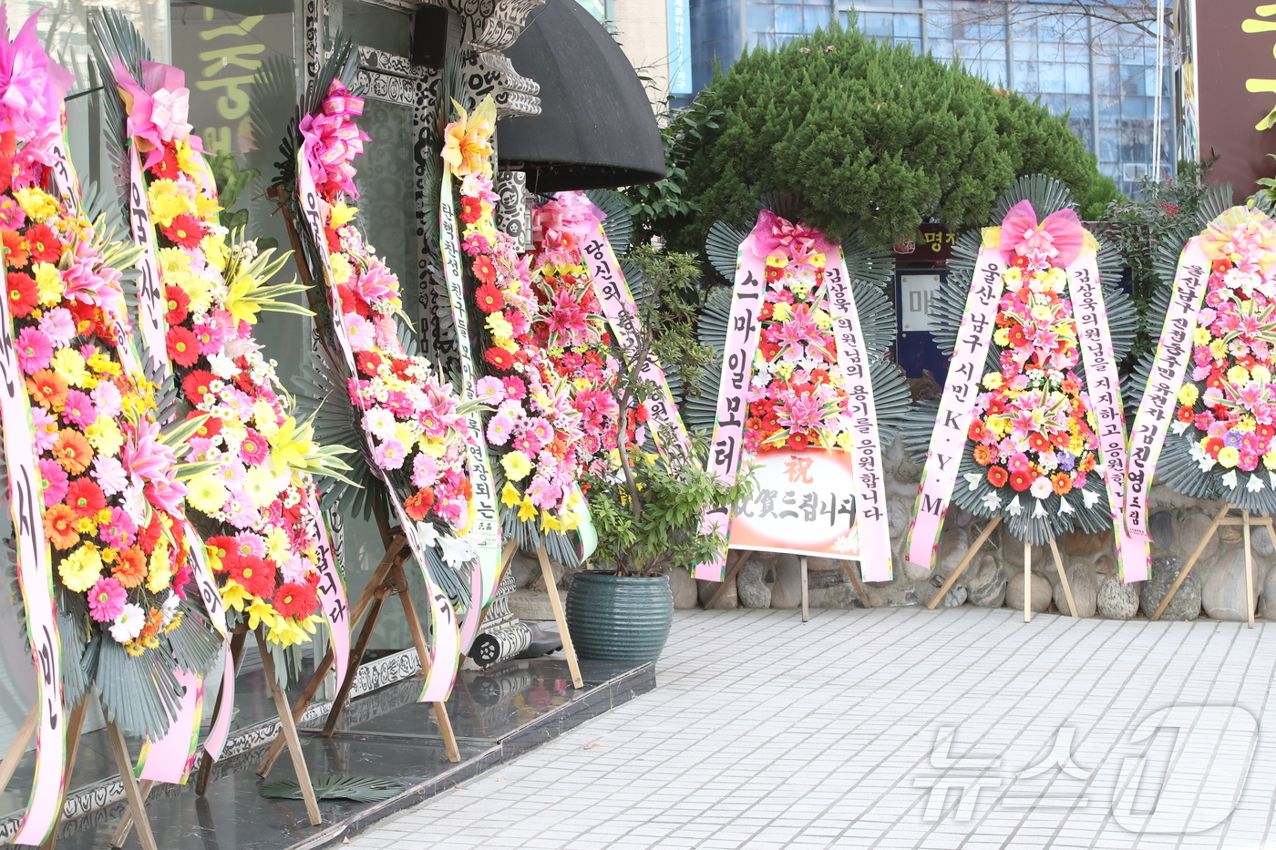 (울산=뉴스1) 김세은 기자 = 11일 오전 울산 남구 신정동 김상욱 국민의힘 의원 사무실 앞에 탄핵 찬성 입장을 표명한 김 의원을 응원하는 화환이 세워져 있다. 2024.12.1 …