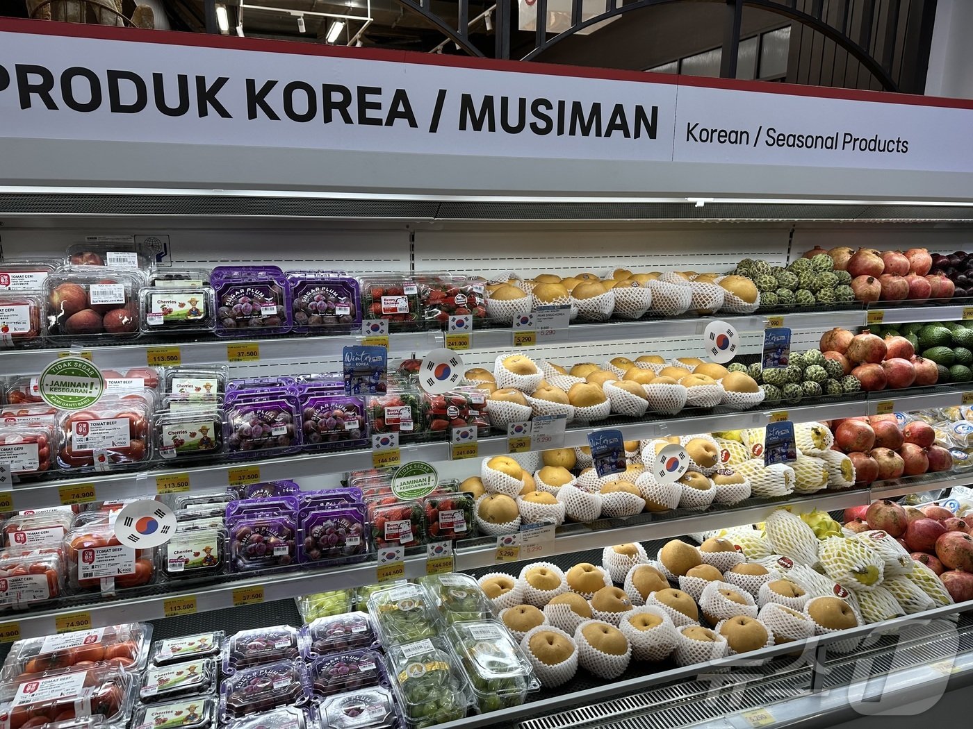 본문 이미지 - 자카르타 롯데마트에서 판매 중인 한국산 과일들. 과일 가격 옆에 태극기가 붙여져 있다. ⓒNews1 나혜윤 기자