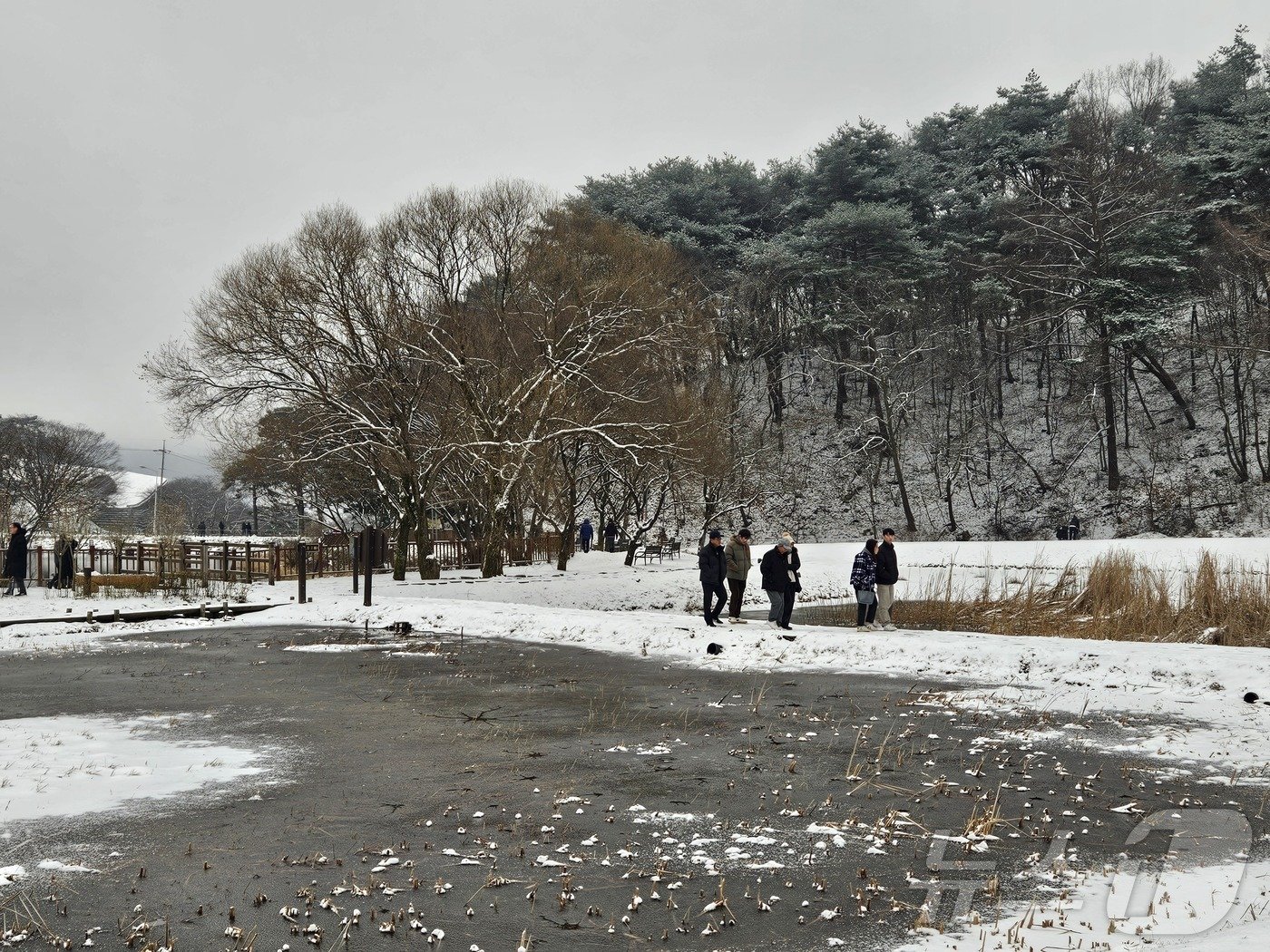  15일 오후 청주 상당산성 자연마당에서 시민들이 산책을 하고 있다.2024.12.15/뉴스1 이재규 기자 