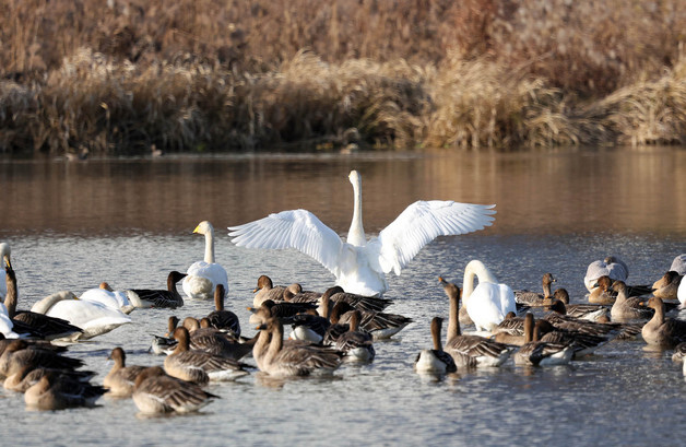 광주 북구 월산보∼담양 영산교 '영산강 지방정원' 조성