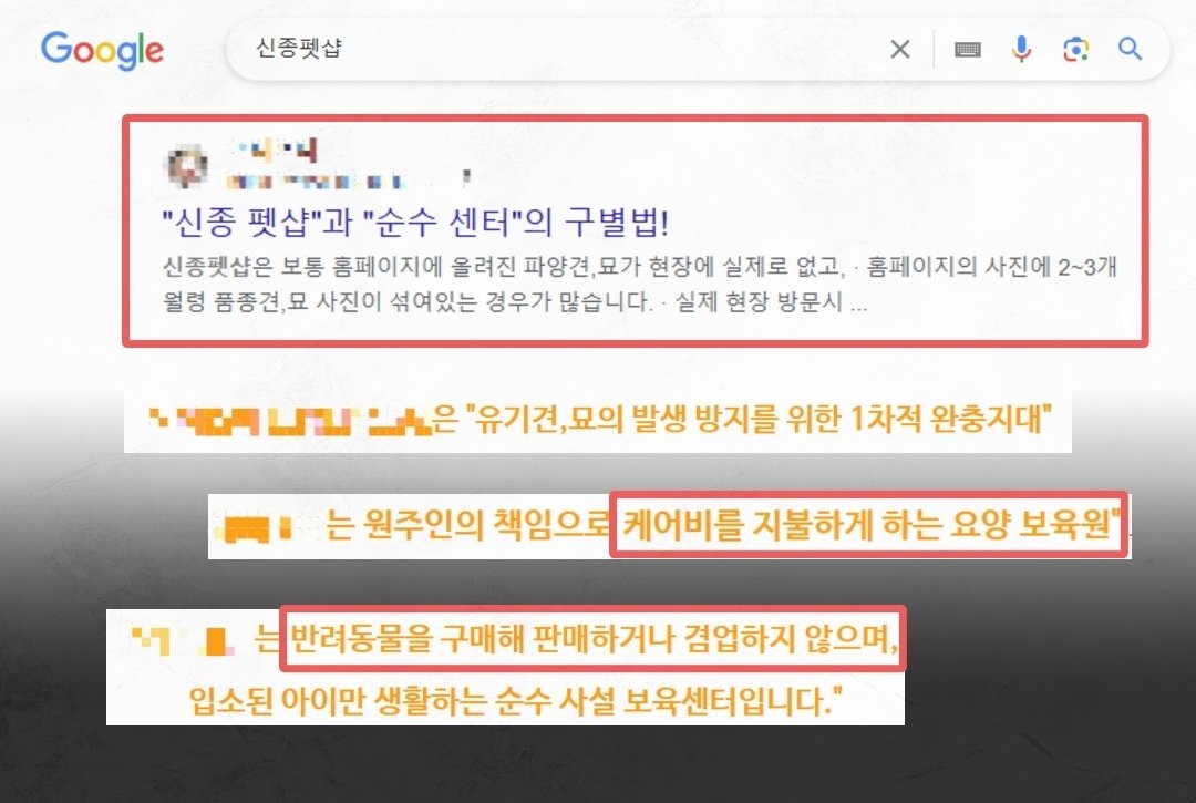 본문 이미지 - 포털사이트에 신종펫숍을 검색하면 신종펫숍 구별법을 안내하는 동물판매업체 (동물자유연대 제공) ⓒ 뉴스1