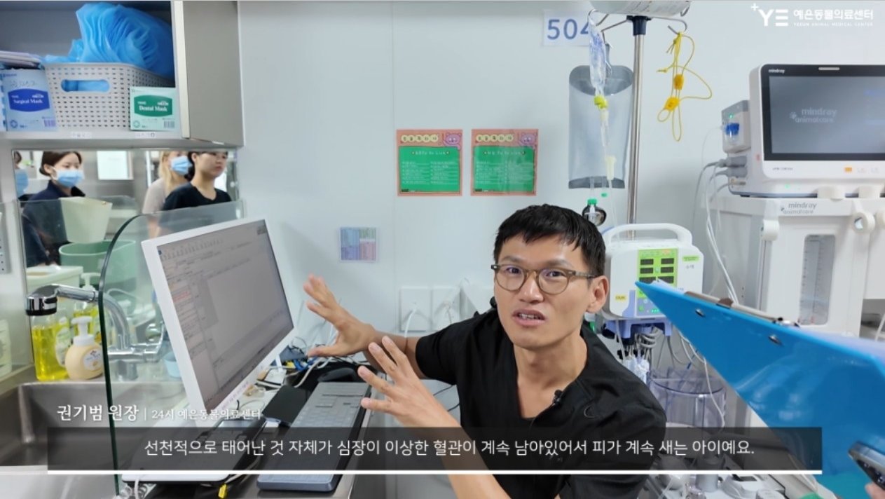 본문 이미지 - 권기범 원장이 동맥관개존증에 대해 설명하고 있다. &#40;예은동물의료센터 유튜브 채널 갈무리&#41; ⓒ 뉴스1