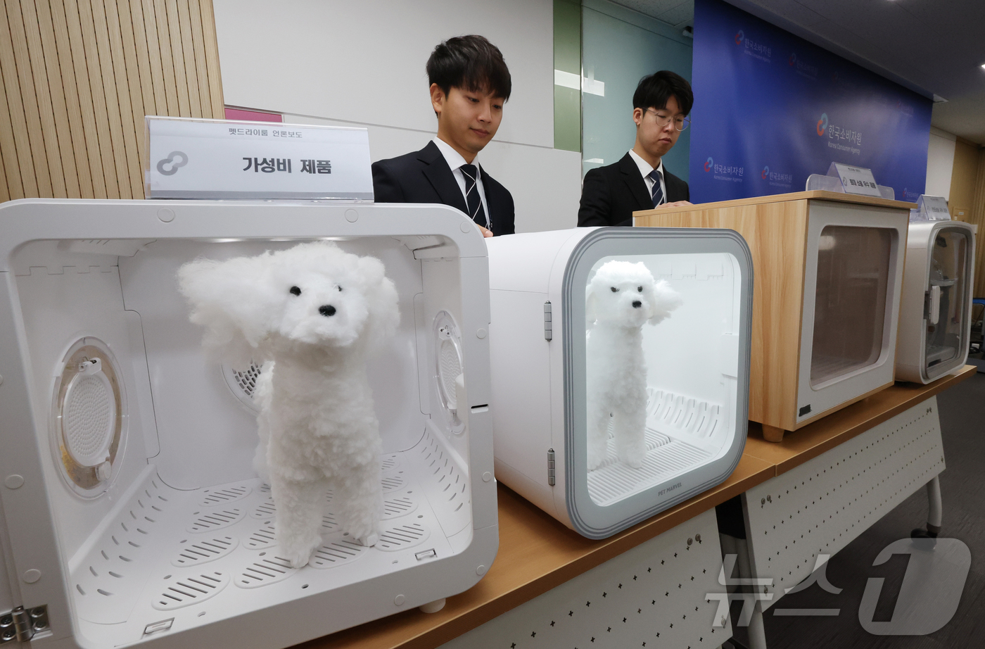 (서울=뉴스1) 송원영 기자 = 17일 서울 송파구 한국소비자원 서울지원에서 열린 펫드라이룸 품질비교시험평가 결과 브리핑에 앞서 직원들이 우수 펫드라이룸을 살펴보고 있다.이날 한국 …