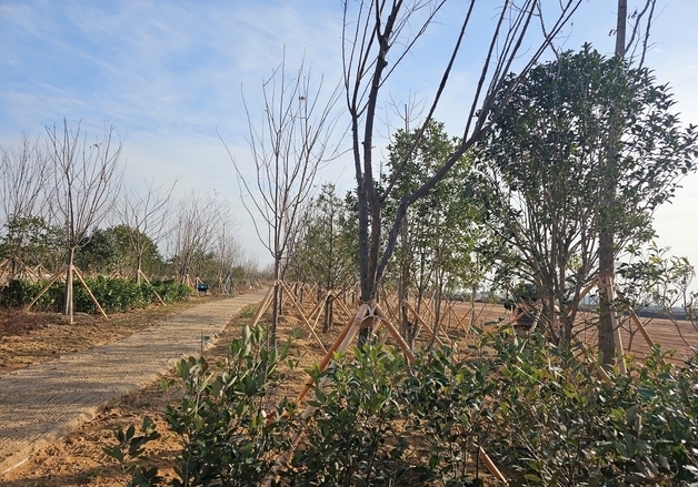 금산군, 30억 투입 기후대응 도시숲 3㏊ 조성…탄소중립 실현