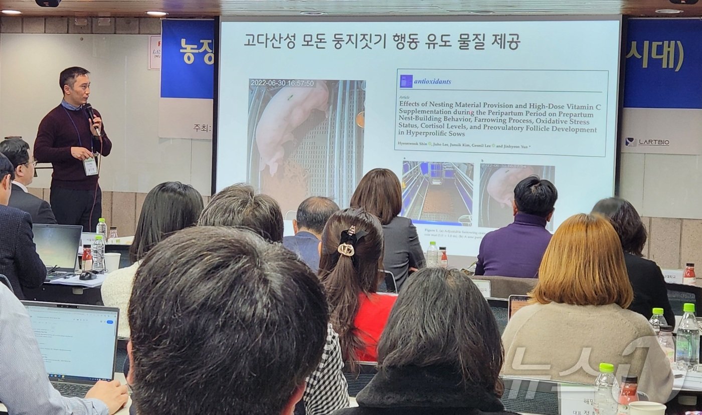 본문 이미지 - 윤진현 전남대학교 교수가 17일 현대 양돈에서 복지 및 생산성 향상 위한 사육환경 연구에 대해 발표하고 있다. ⓒ 뉴스1 한송아 기자