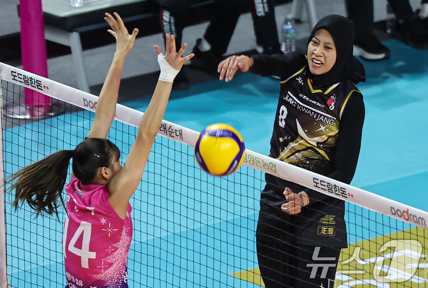 본문 이미지 - 정관장의 메가. /뉴스1 ⓒ News1 김도우 기자