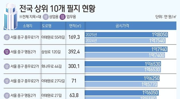 [그래픽] 전국 상위 10개 필지 현황