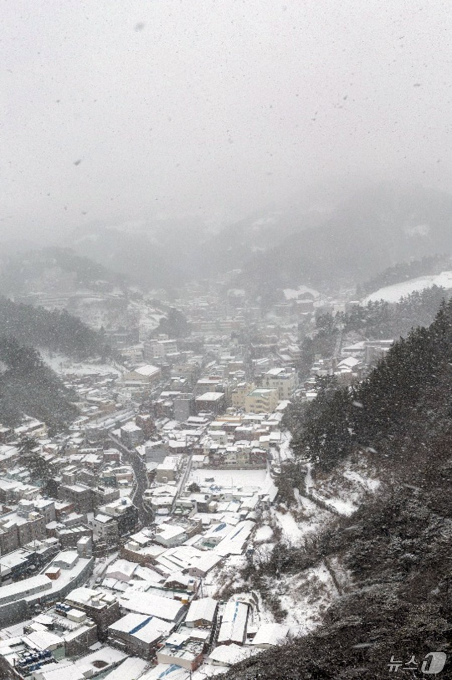 본문 이미지 - 대설경보가 발령된 18일 경북 울릉군 전역에 눈에 덮여 있다. (독자제공) 2024.12.18/뉴스1 ⓒ News1 최창호 기자